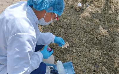 Visita a la Planta de tratamiento Chacón