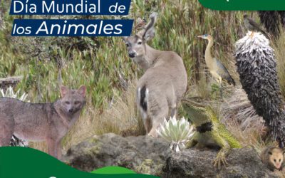 Día Mundial de los animales
