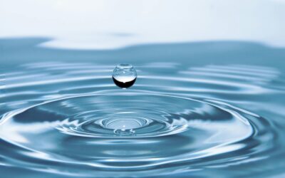 Celebrando el Día Mundial del Agua: Un Compromiso Renovado con Nuestro Recurso Vital