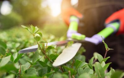 RESOLUCIÓN No. 129 Doce (12) de Diciembre de dos mil veinticuatro (2024) POR MEDIO DE LA CUAL SE ADJUDICA EL PROCESO DE CONTRATACIÓN DE MÍNIMA CUANTIA No. 061-2024