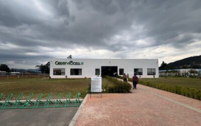 Circular No.6 Información de interés – Coservicios S.A E.S.P