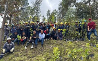 Coservicios conmemora el Día Mundial del Medio Ambiente con siembra de árboles nativos